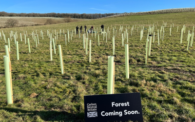 I-Plan Reaches Carbon-Neutral Milestone, Setting New Standards in Sustainability 